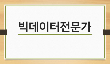 빅데이터전문가